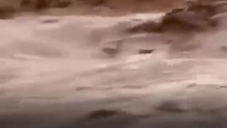 😂💦 You Won't Believe This Flood Crossing! | FunFM