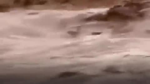 😂💦 You Won't Believe This Flood Crossing! | FunFM