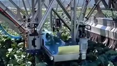 Farming Today