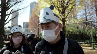 Thousands queue to see Japan's final panda pair before return to China