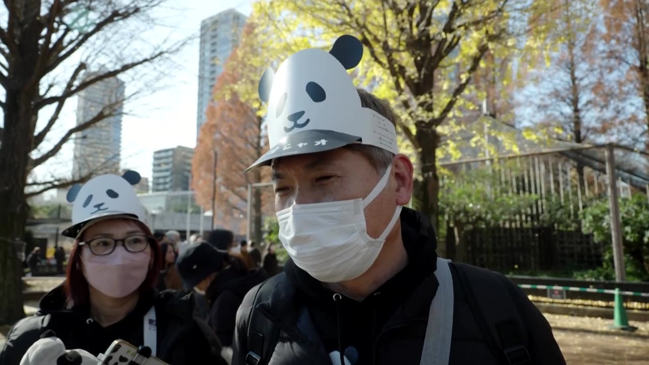 Thousands queue to see Japan's final panda pair before return to China