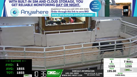 9/15/2025 - Cow & Bull Auction - OKC West