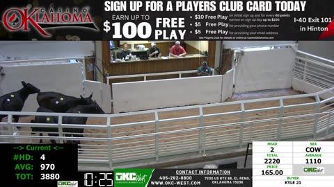 9/15/2025 - Cow & Bull Auction - OKC West