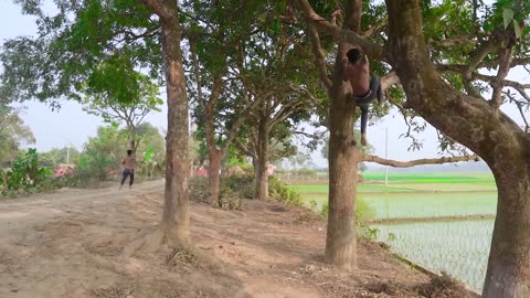 Funny video