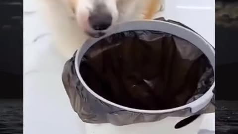 ?