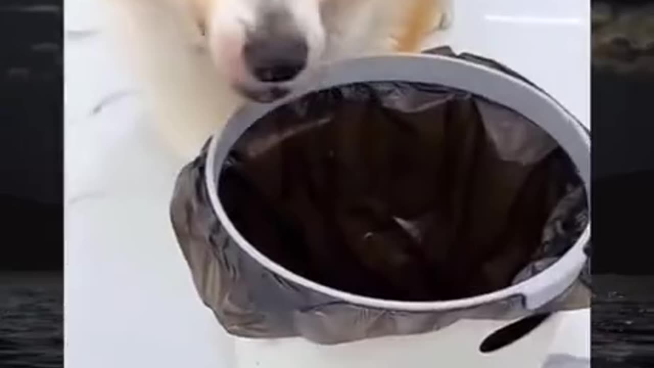 ?