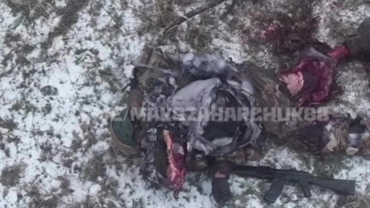 Slaughter Drones: Deadly Loitering Munitions