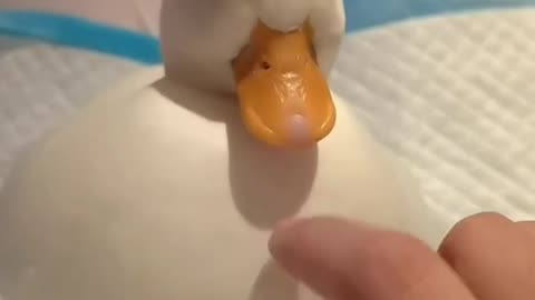 Happy duck
