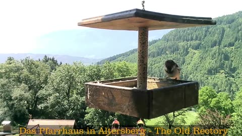 Old Rectory in Austria
