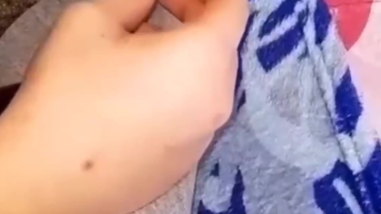 Funniest Pets & Kitties CompilationāPure Cuteness! š”š¾