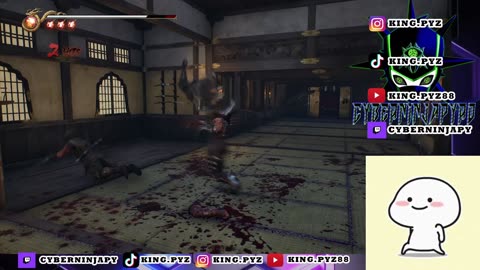Ninja Gaiden 2 Black Gameplay vid 3