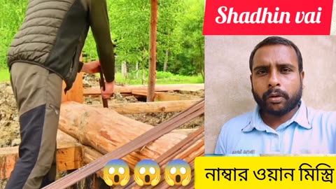 “অসাধারণ মানব ক্ষমতা! 🌳 বড় গাছ দিয়ে বানানো ঘর দেখুন | Bangla Reaction Video”