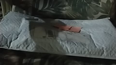 Will a Rapla fillet knife cut me?