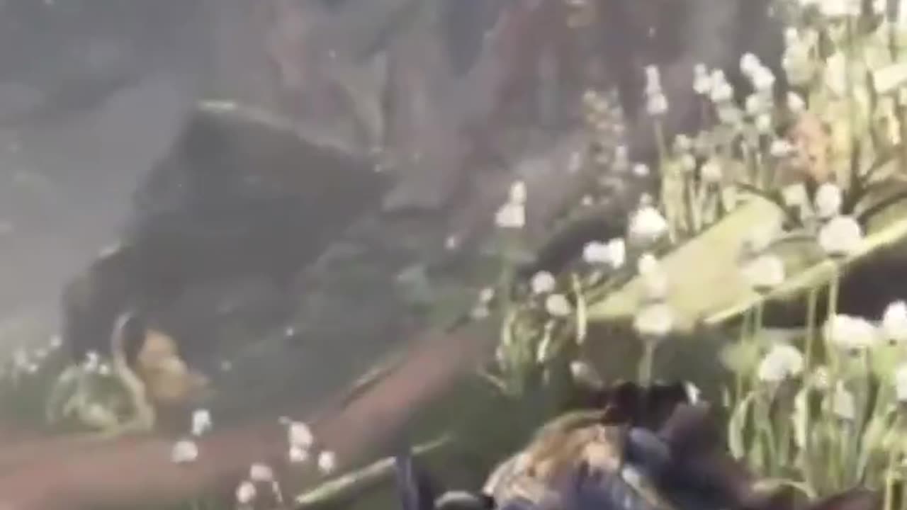 McDicken. Monster Hunter? Ep. (7)? Gotta catch 'em all! #monsterhunterworldiceborne