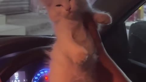🤯😂 This Vibe Check is HILARIOUSLY Accurate! | FunFM
