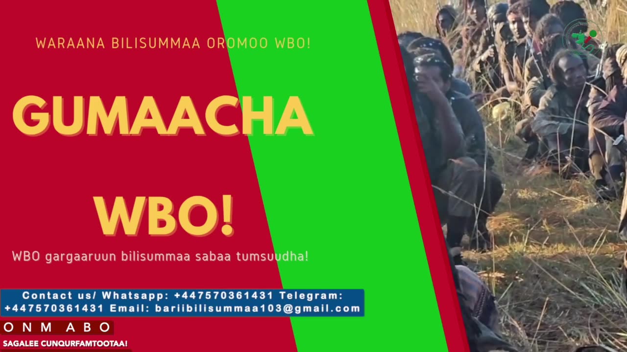 Gabaasa Gumaachan ONM-ABO Adoolessa 15-2025 itti dhiyaadhaa!