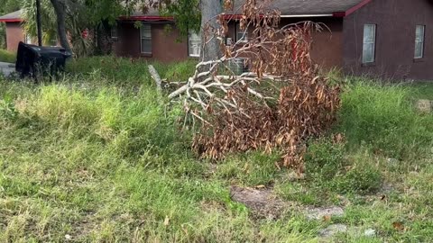 Neighbor Arrested After Police Respond to Disturbance P1