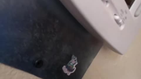 Cowboy Hat Guy ROASTS Crappy Contractor Work (You Won't Believe This!)