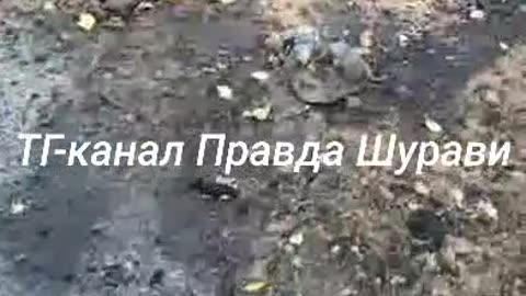War in ukraine