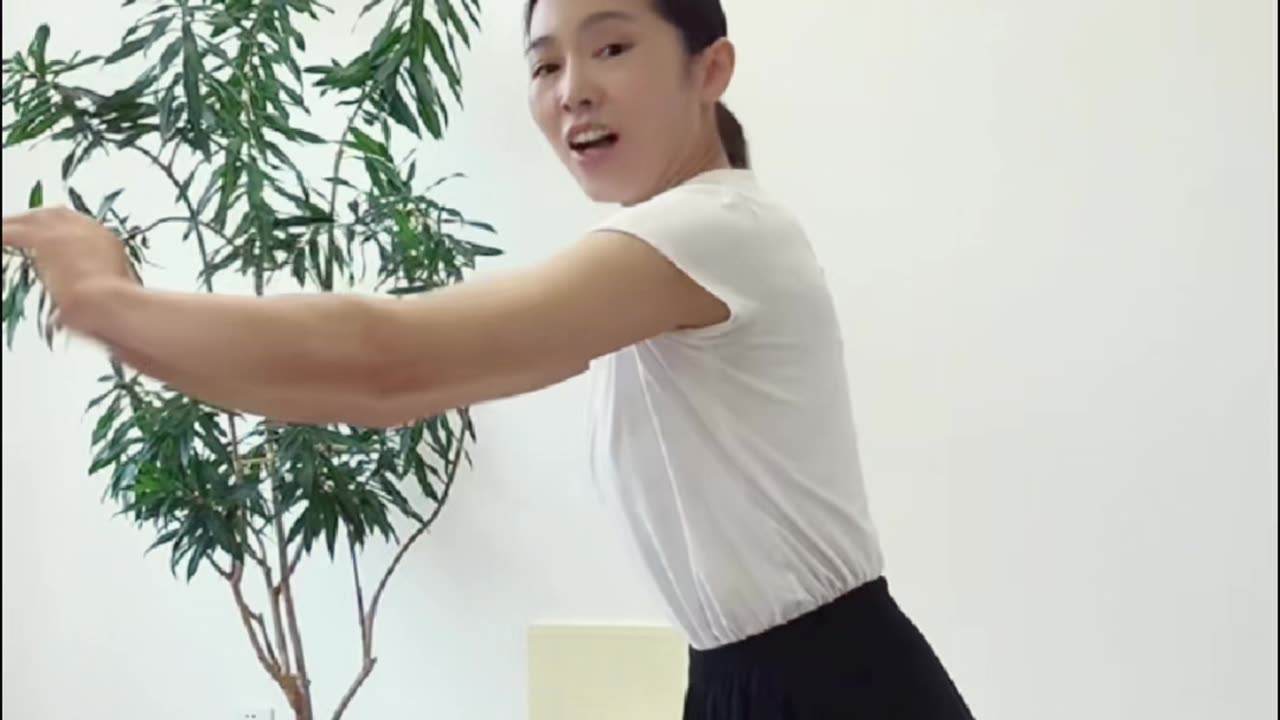 1036.樁功力不在丹田