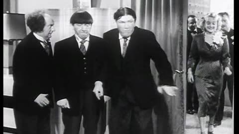 E144. Up in Daisy's Penthouse - Shemp Howard Era - 1953