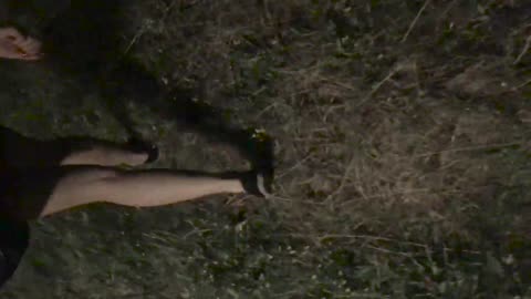 Bad Night for Snails