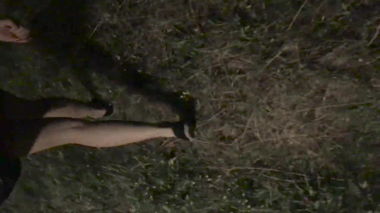 Bad Night for Snails