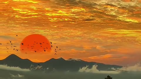 Video 🙏🙏 😊😊