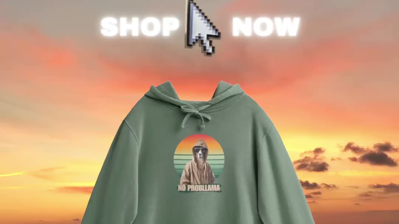 NO PROBLLAMA GRAPHIC HOODIE