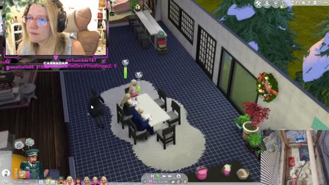 Chicken Live Stream