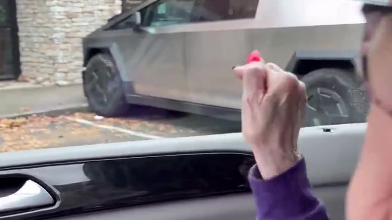 A liberal woman doesn't want to park next to a Tesla