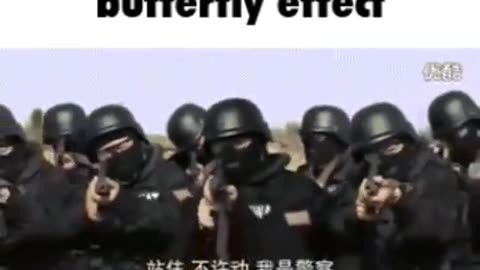 Butterfly Effect (Meme)