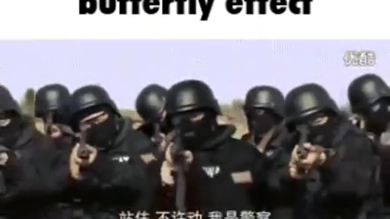 Butterfly Effect (Meme)