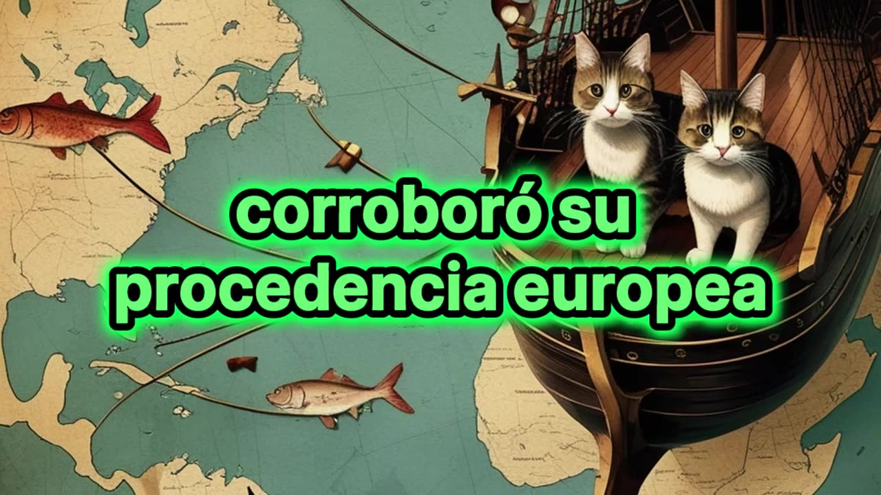 La llegada de los primeros felinos a América.