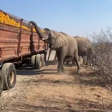 🇿🇦 A typical day in South Africa.
