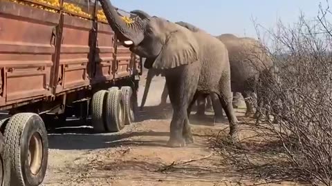 🇿🇦 A typical day in South Africa.