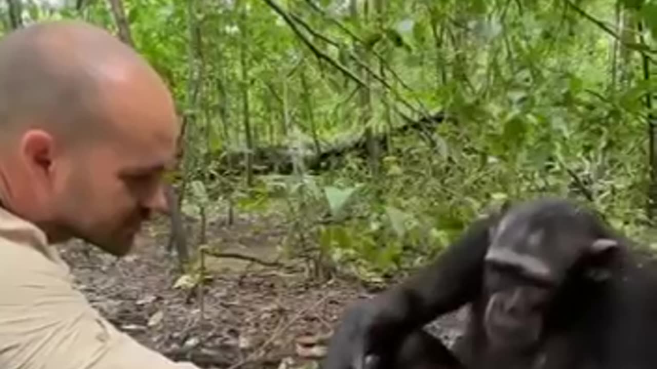 Compassion