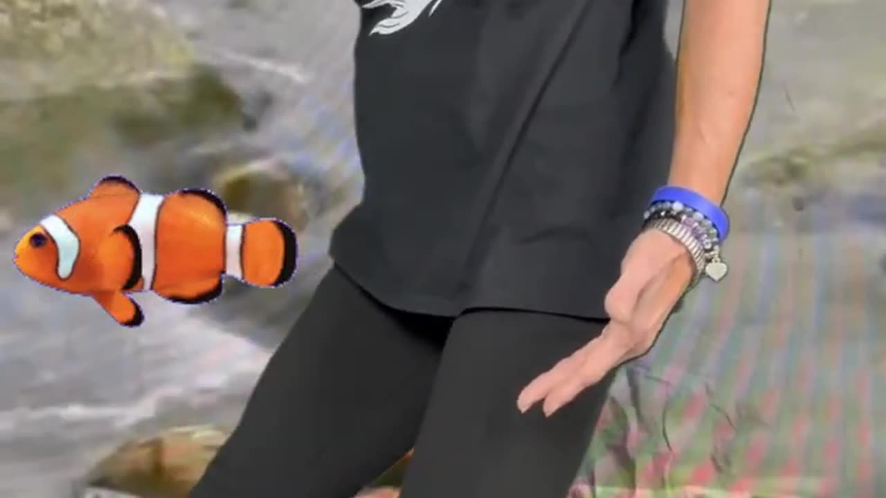 6 form Tai Chi Part 2