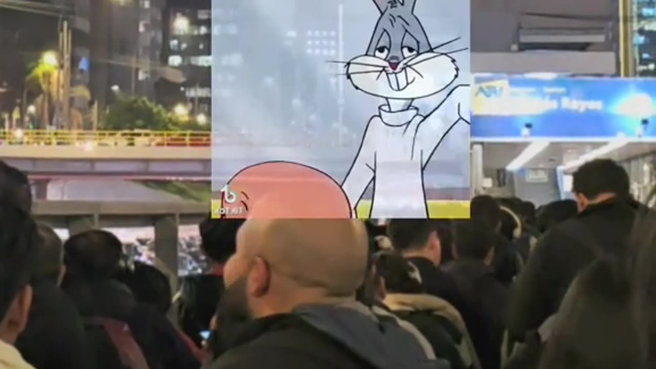 Mis pensamientos cada que veo un calvito xD #BugsBunny #humor #calvos #fyp #CapCut