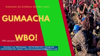 Gabaasa Gumaacha ONM-ABO Waxaabajjii 19-2025 itti dhiyaadhaa!