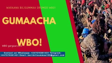 Gabaasa Gumaacha ONM-ABO Waxaabajjii 19-2025 itti dhiyaadhaa!