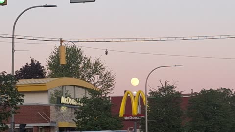 The moon