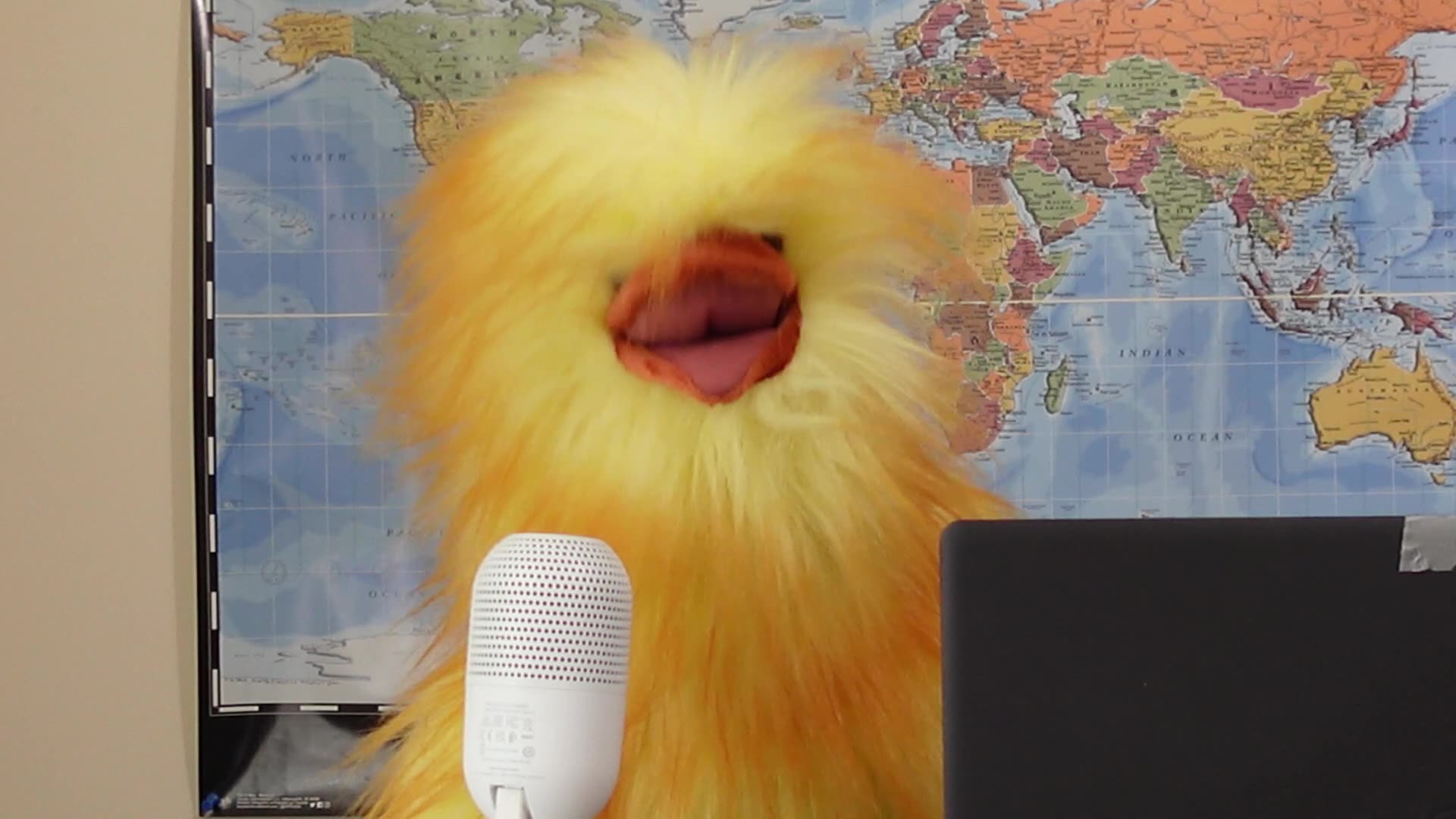 Carneys conflict of interest prove Public Private Partnership (PPP) already underway