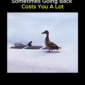 Sometimes going back costs you a lot