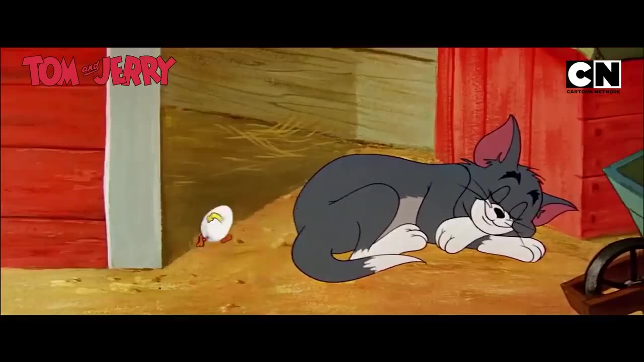tom and jerry