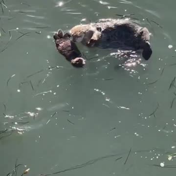 Mommy and her baby.. 😊