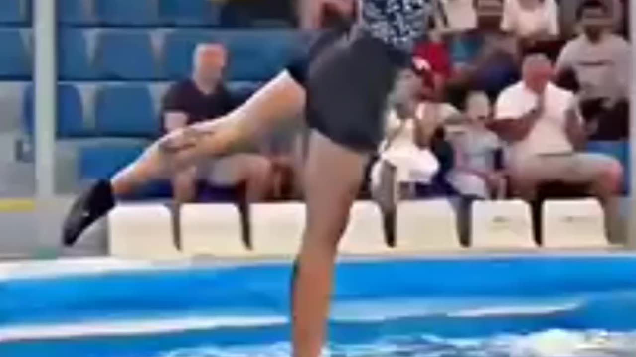 Trained fish , amazing fish
