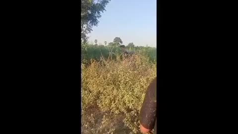 🛸💥 Myanmar War | Drone Bombing Junta Positions in Natogyi | RCF