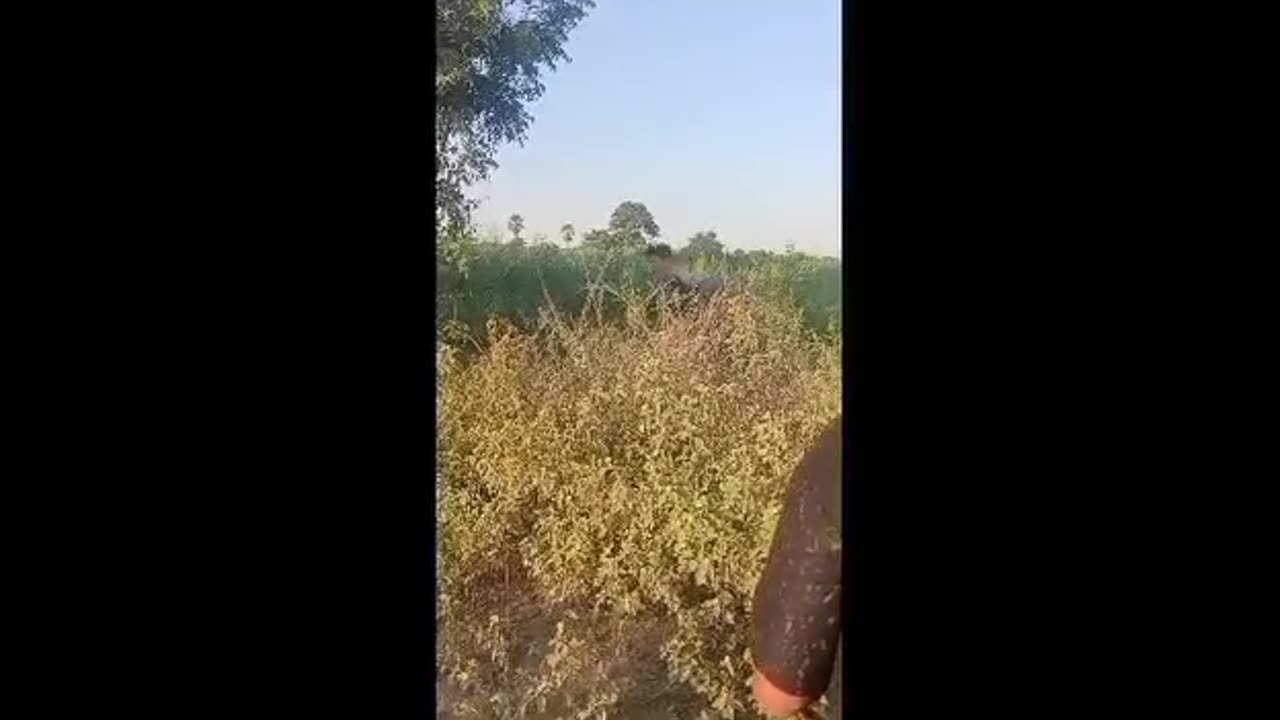 🛸💥 Myanmar War | Drone Bombing Junta Positions in Natogyi | RCF