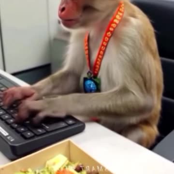 funny funny videos funny names funny animalsfunny funny videos funny names funny animals